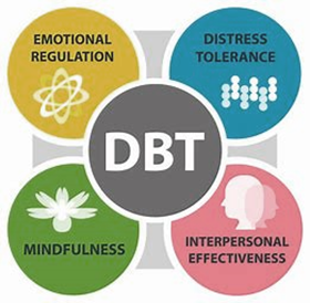 four circles, Emotional Regulation
                    Distress tolerance, Mindfulness, and Interpresonal Effectiveness